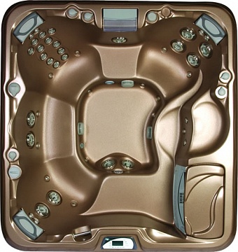 СПА бассейн Sundance Spas 880 серия Majesta, 206х219х96см цвет чаши целестин, цвет корпуса махагон