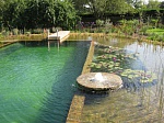 натуральный плавательный бассейн